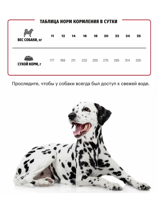 Сухой корм KARMY для собак, взрослые, средние, телятина, 14 кг, фото 8