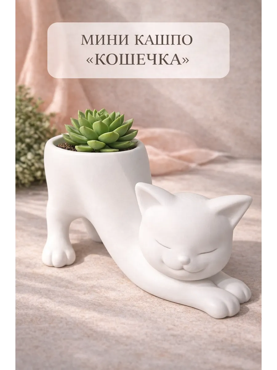 Кашпо котик для растений, горшок для суккулентов и кактусов