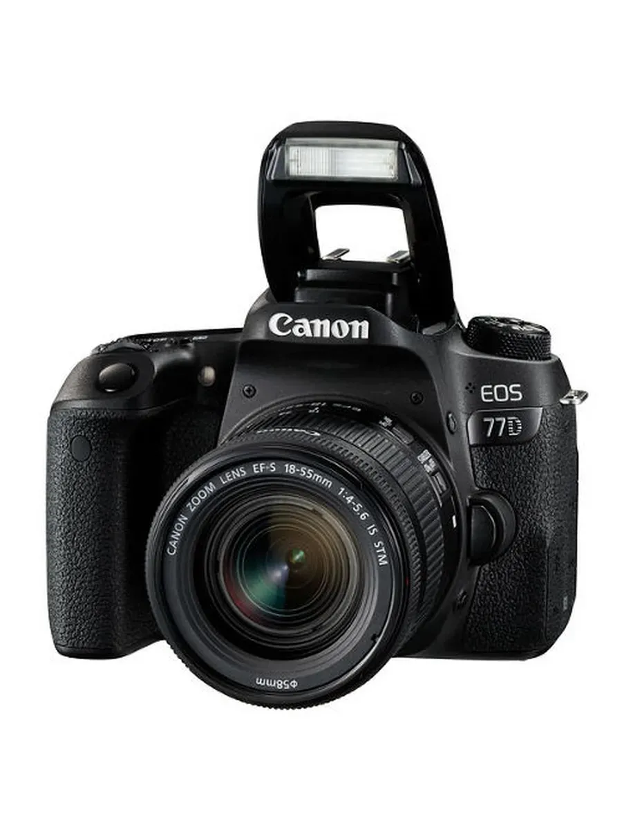 Зеркальный фотоаппарат Canon EOS 77D Kit 18-55 IS STM