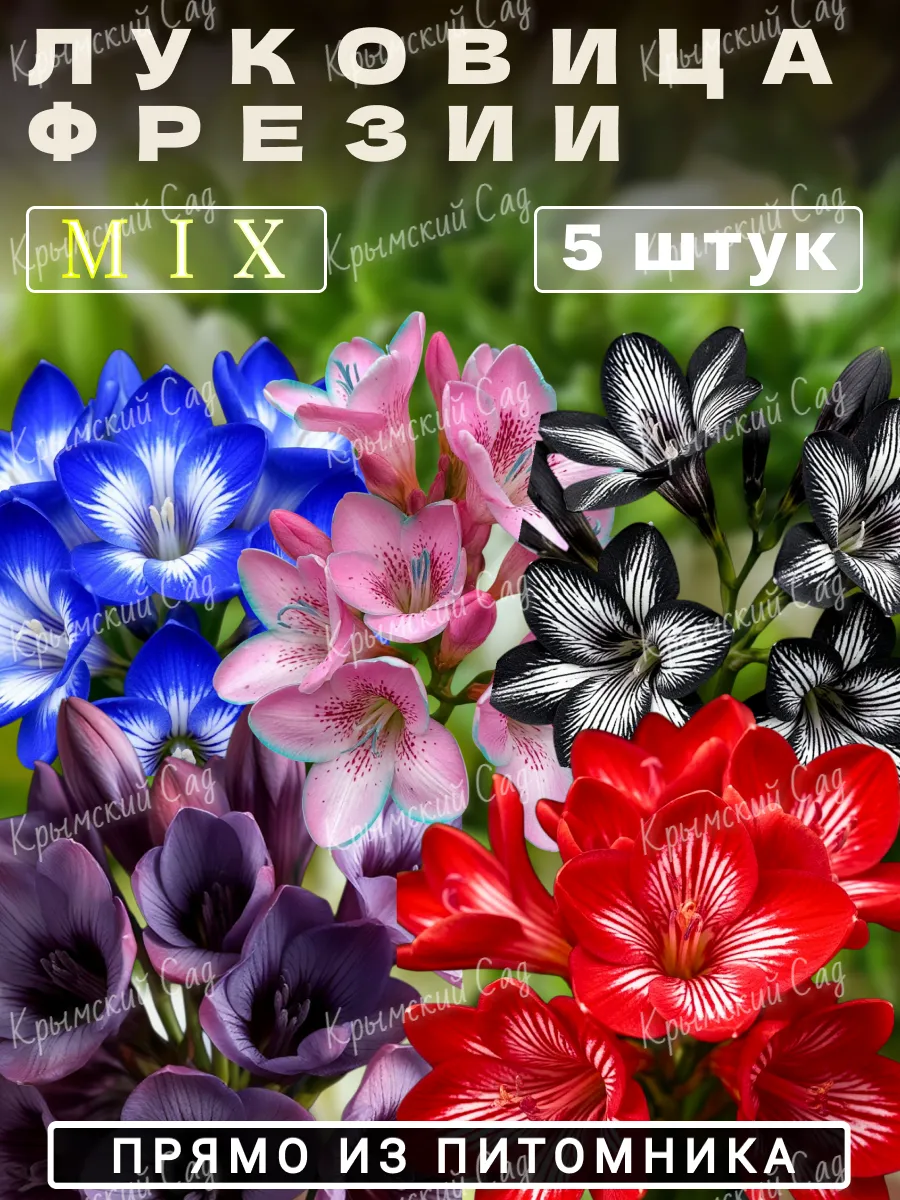 Фрезия луковицы для посадки Mix 5 шт