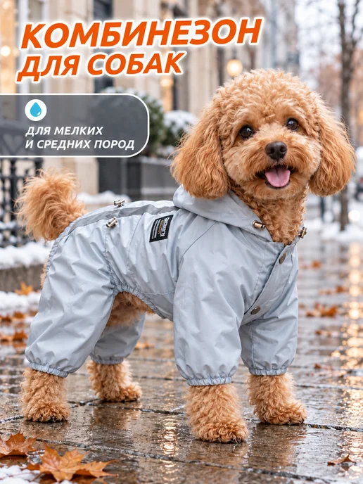Комбинезон для собак мелких и средних пород, синий