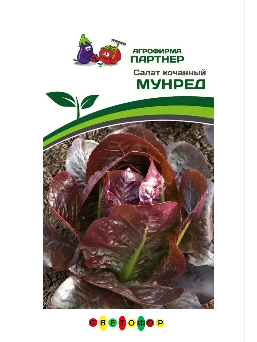 Салат кочанный Мунред ^(15шт)