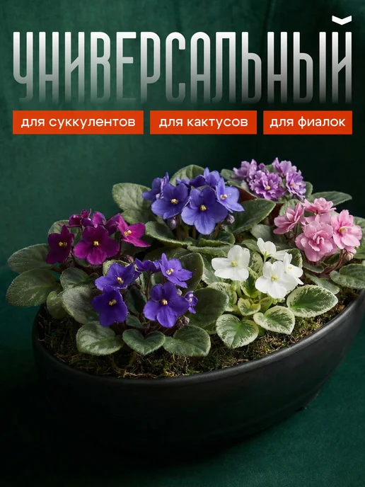 Кашпо для суккулентов и кактусов, черный, фото 3