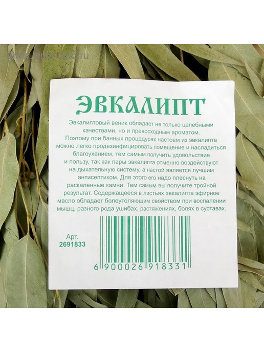 Натуральный эвкалиптовый веник для бани, вариант, фото 5