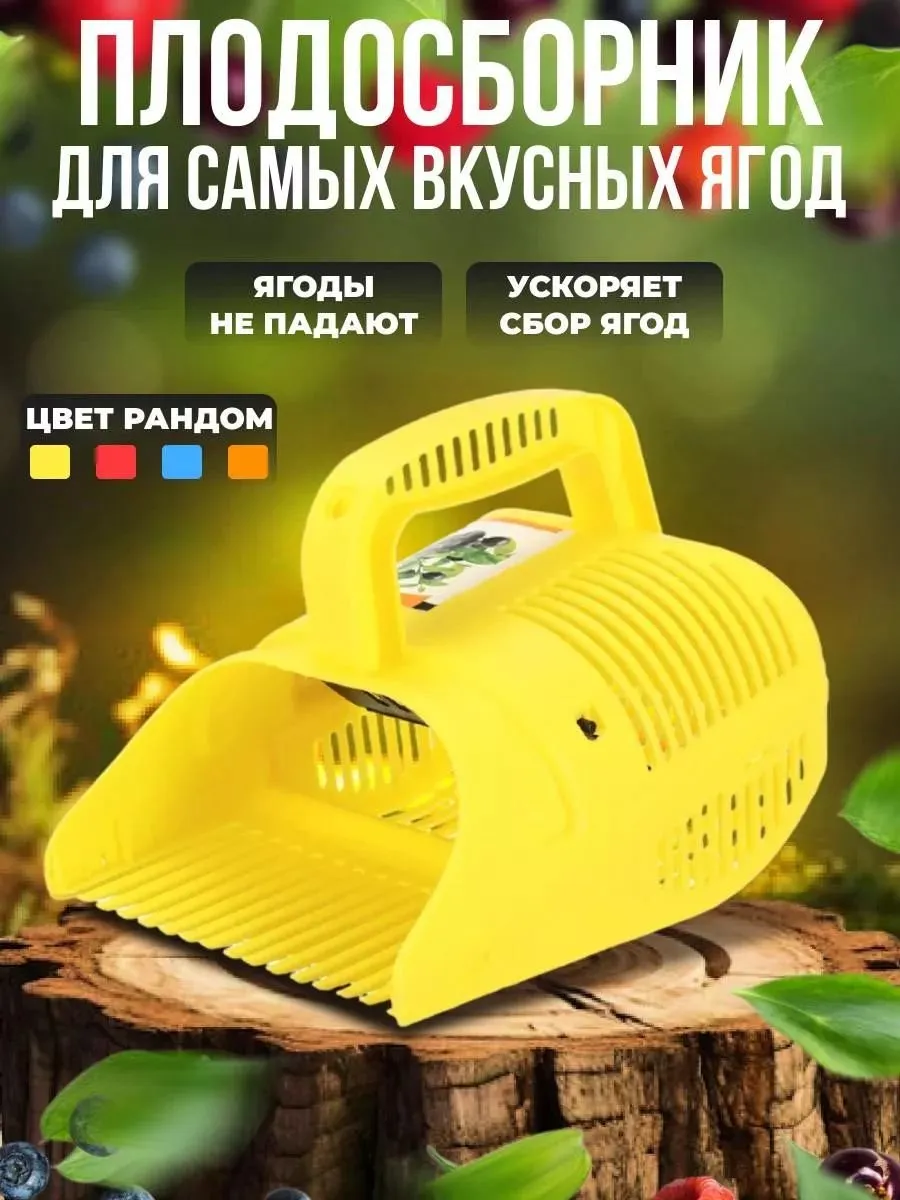 Плодосборник садовый разноцветный