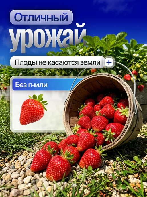ProfyHome Спанбонд Геотекстиль 60 1,6*10 от сорняков садовый укрывной, 1.6x10, фото 4