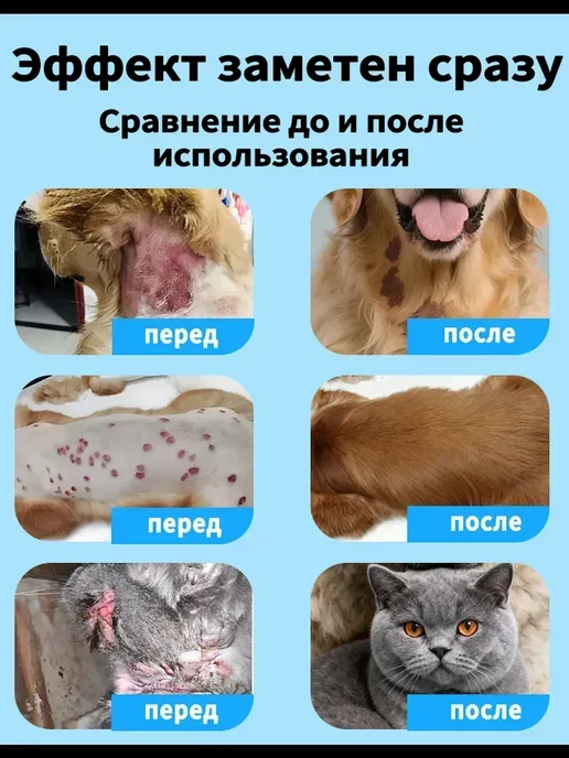 Противогрибковое средство для кошек и собак, 100 мл, фото 2