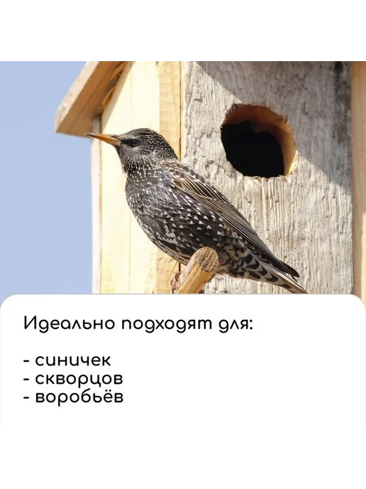 Компактная деревянная кормушка для птиц, вариант, фото 2