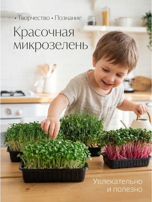 ZELINO Микрозелень набор для выращивания на окне 3 вида, 3 шт, фото 4