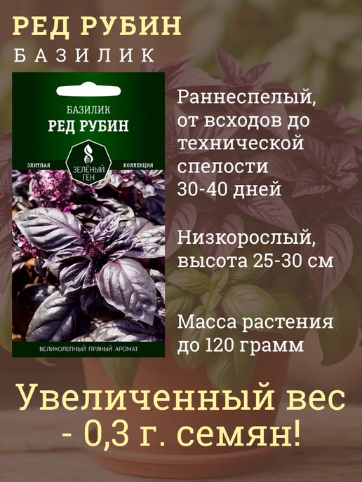 Зеленый ген Базилик семена для подоконника, 2 пачки, зеленый, фото 3