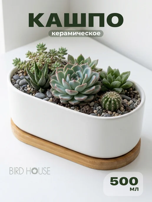 Birdhouse Кашпо керамическое для цветов суккулентов и кактусов, вариант