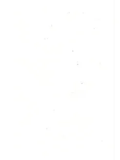 Соковыжемалка