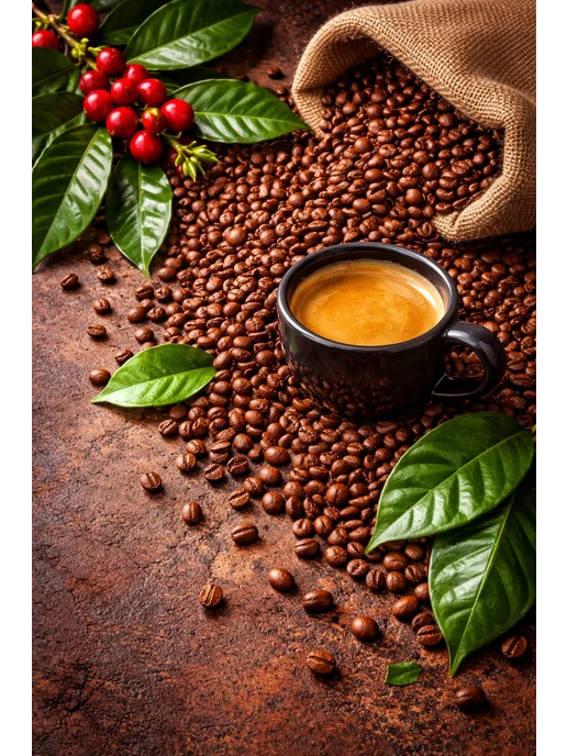 Кофе в зернах Robusta 1kg, 1 кг, фото 4