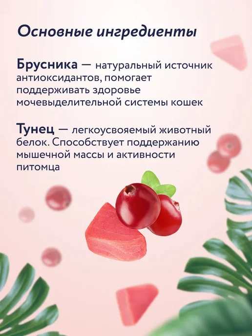 Florida. Лакомство для кошек и котят крем-суп с тунцом 5шт по 15г, 5 шт, 15 г, фото 4