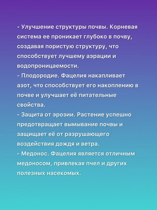 Семена фацелии сидерат 1кг, 1 кг, фото 2