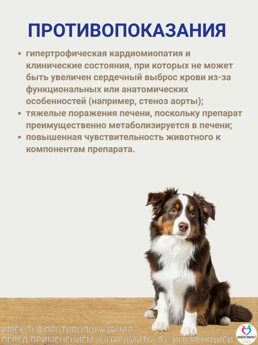 Boehringer Ingelheim Ветмедин S 1,25мг для собак, 50 таб, 5мг, фото 4