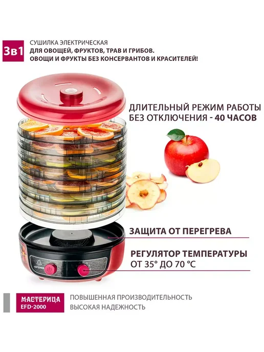 МАСТЕРИЦА Сушилка для овощей EFD-2000, вариант, фото 2