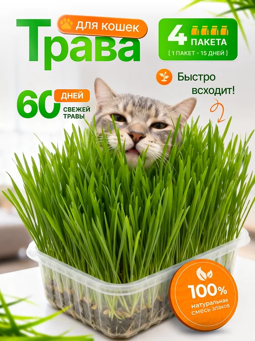 Мурмули Трава для кошек и других питомцев. Комплект на 6 посадок, вариант