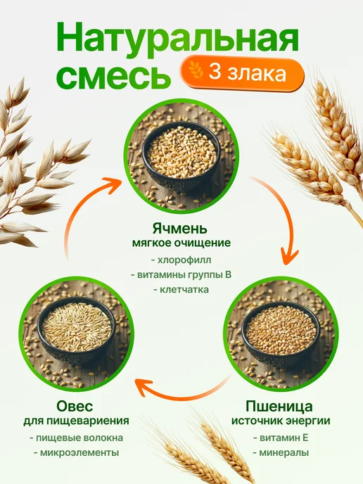 Мурмули Трава для кошек и других питомцев. Комплект на 6 посадок, вариант, фото 4